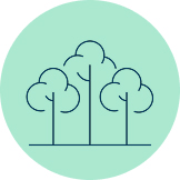Icon of trees representing "Environmental Stewardship".